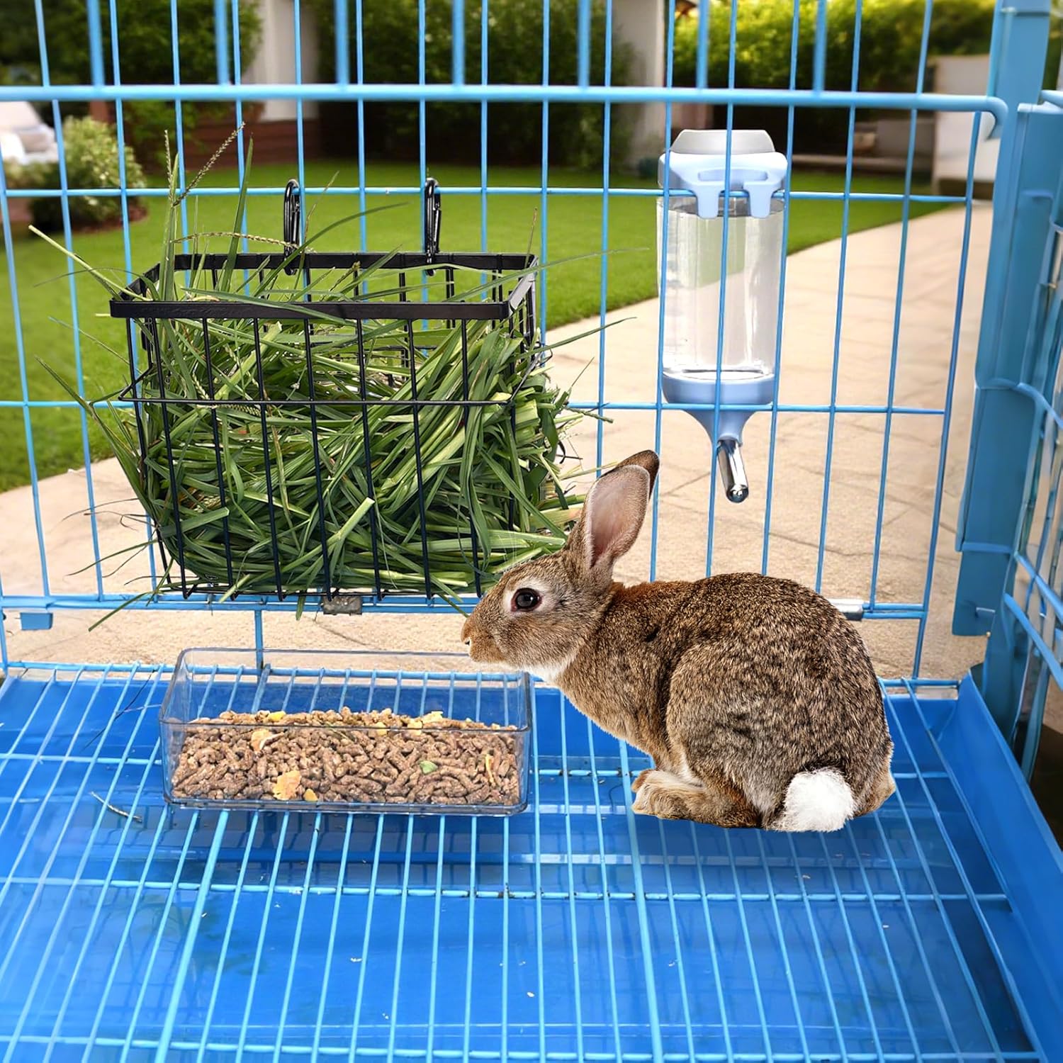 SANGLE SOPFFY Rabbit hay Feeder Small Animal Feeding Set with 350ml Water Bottle, Hay Rack for Guinea Pigs, Chinchillas - Image 6