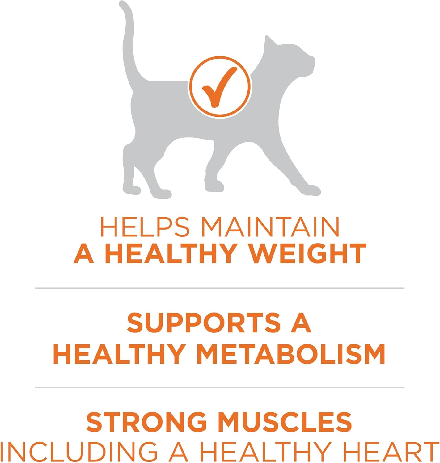 Purina ONE High Protein, Healthy Weight Plus Ideal With Chicken Dry Cat Food Formula - 22 lb. (Pack of 1) - Image 3