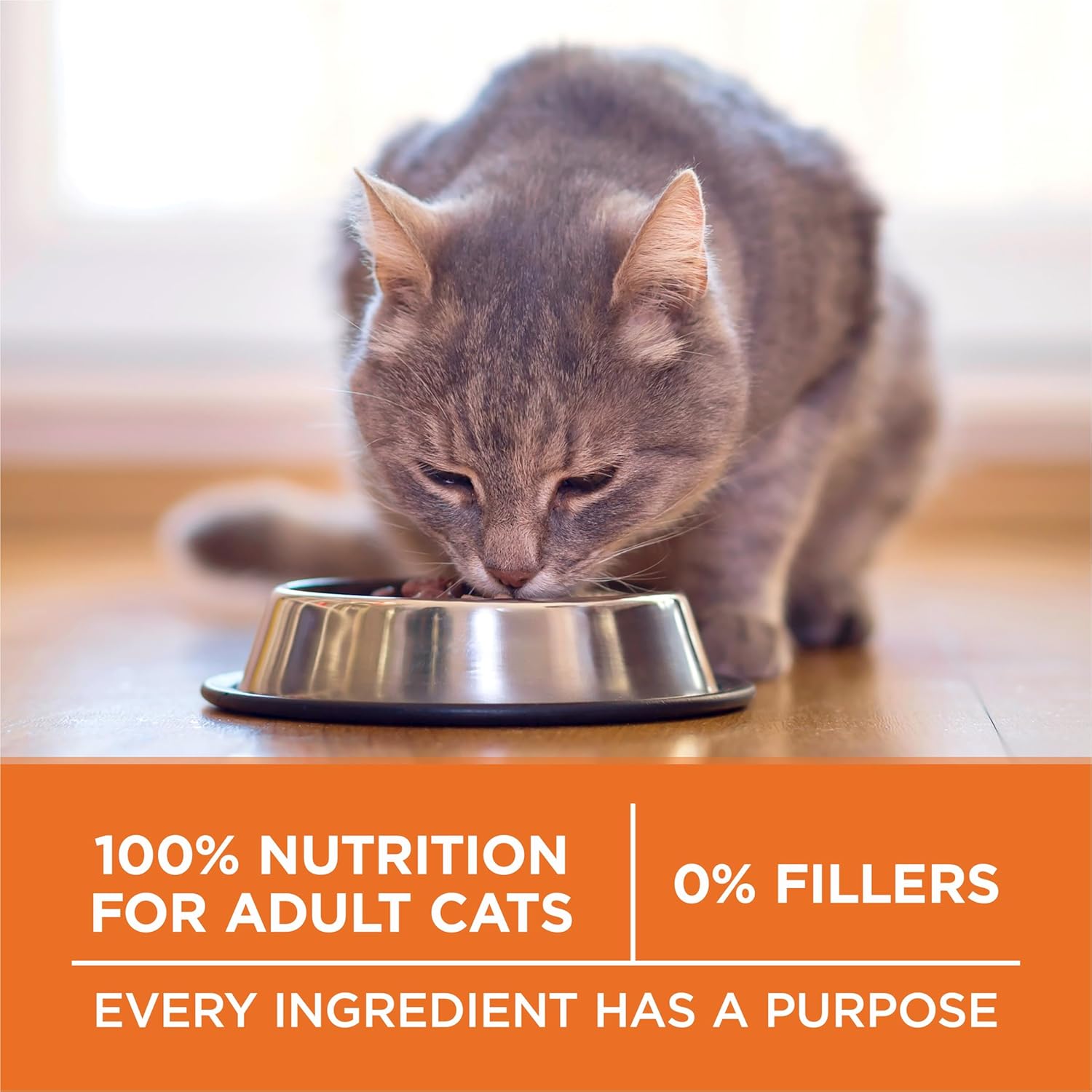 Purina ONE High Protein, Healthy Weight Plus Ideal With Chicken Dry Cat Food Formula - 22 lb. (Pack of 1) - Image 7
