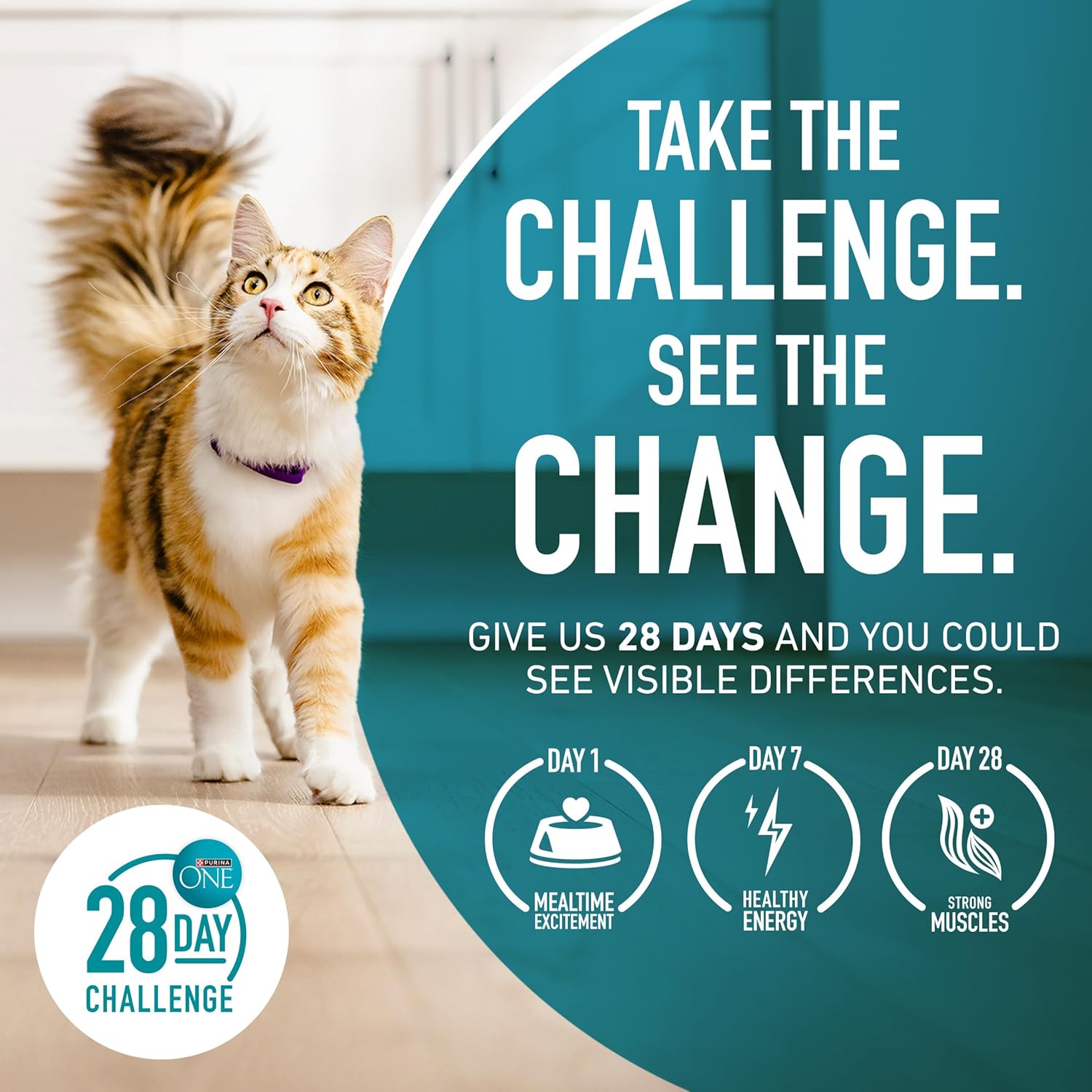 Purina ONE High Protein, Healthy Weight Plus Ideal With Chicken Dry Cat Food Formula - 22 lb. (Pack of 1) - Image 10