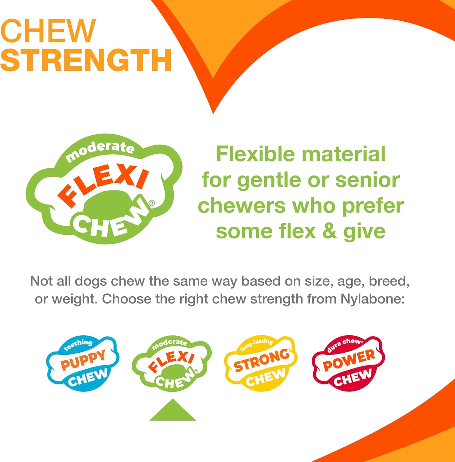 Nylabone Moderate Chew Flexi Chew Bone Peanut Butter & Bacon XX-Small/Tiny (2 Count) - Image 5