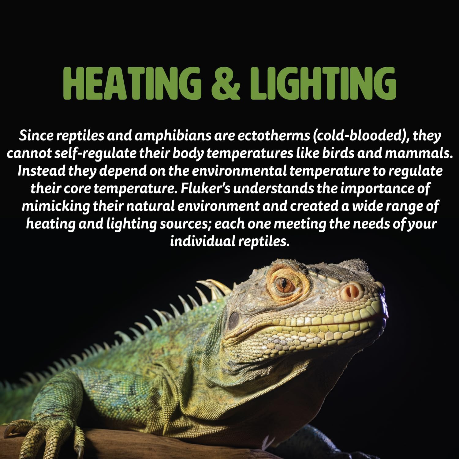 Fluker's Repta-Clamp Lamp, Heavy Duty Clamp Light For Reptile Tanks and Terrariums, UL/CUL Approved, Great for Reptile Basking, 75-Watt Maximum with On/Off Switch, 5.5" - Image 5