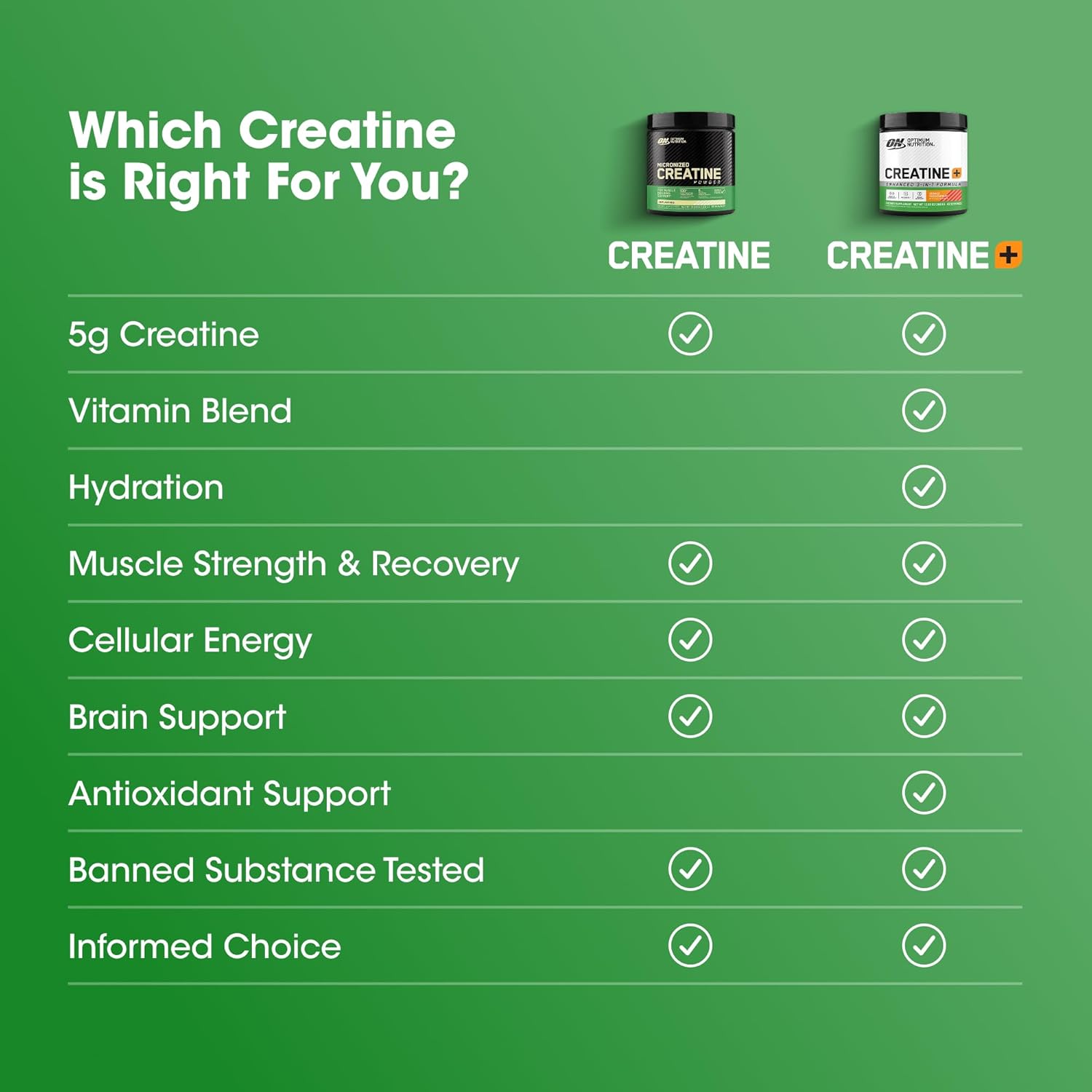 Optimum Nutrition Micronized Creatine Monohydrate Powder, Unflavored, 240 Servings, 1200 Grams (Packaging May Vary) - Image 4