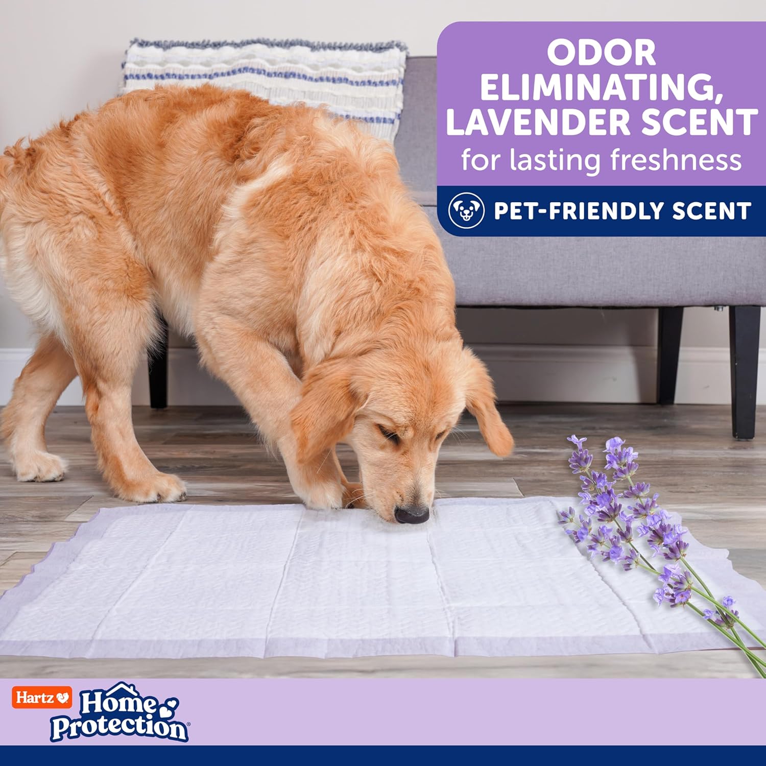 Hartz Home Protection Super Absorbent Odor Eliminating Lavender Scented No Leak Dog Pads, 3XL 30 Count - Image 6