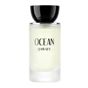 OCEAN Eau de Parfum for Men 1.7oz / 50ml – Fresh Marine Citrus & Clean Woody Musk Cologne, Long Lasting Light Blue Summer Fragrance, Modern Masculine Scent, Vegan