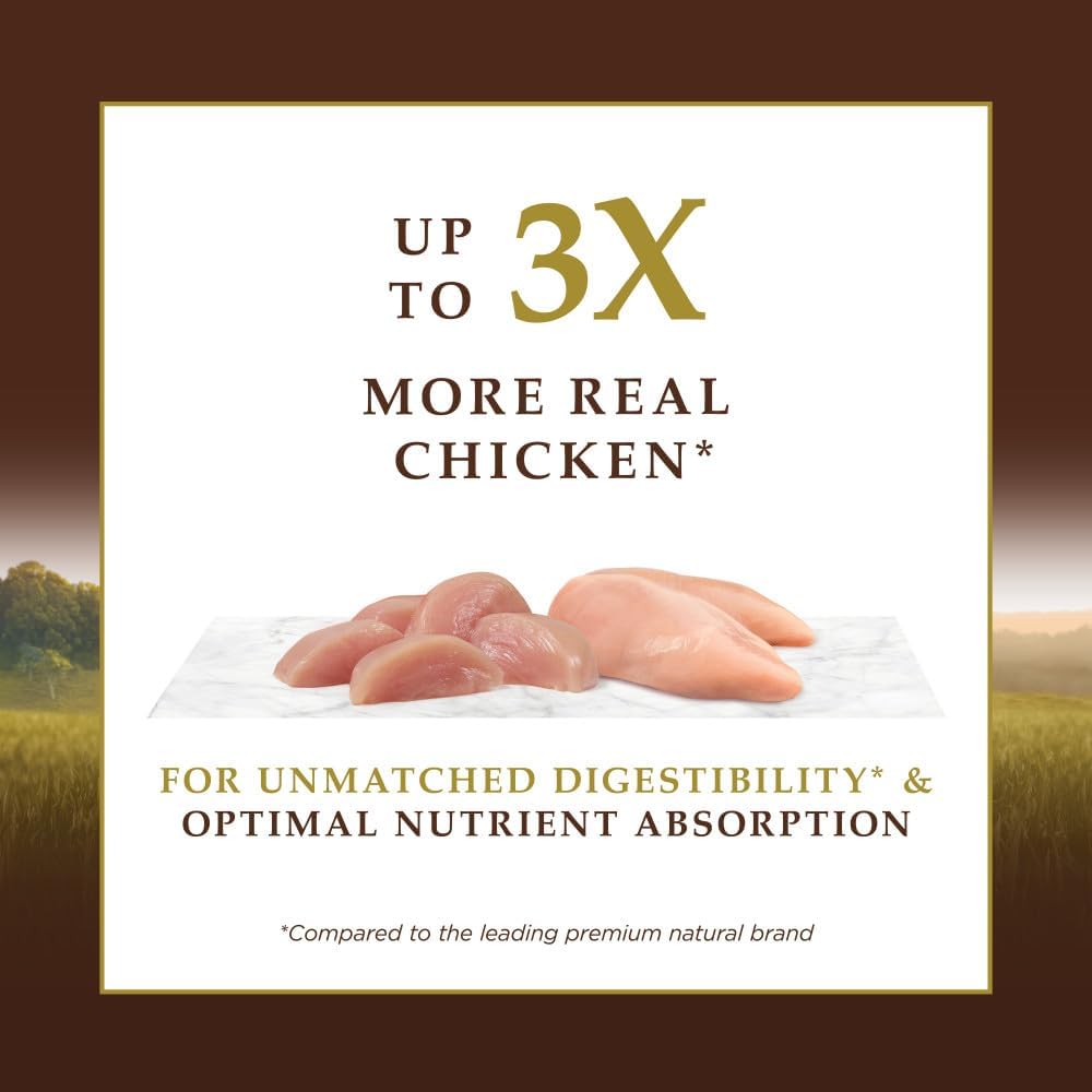 Instinct Ultimate Protein, Natural Dry Cat Food, Grain Free Recipe - Cage Free Chicken, 4 lb. Bag - Image 4