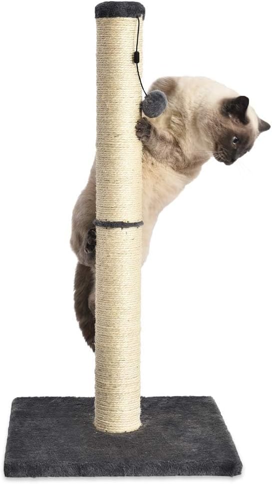 Amazon Basics Cat Scratching Post for Indoor Cats & Kittens, Medium (31.5"H), Cat Furniture with Dangling Ball Toy, Grey - Image 4
