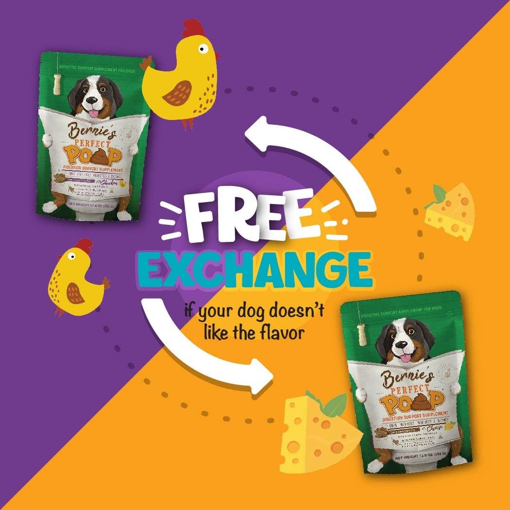 Perfect Poop Digestion & General Health Supplement for Dogs: Fiber, Prebiotics, Probiotics & Enzymes Relieve Digestive Conditions, Optimize Stool, and Improve Health (Cheddar Cheese, 4.2 oz) - Image 9