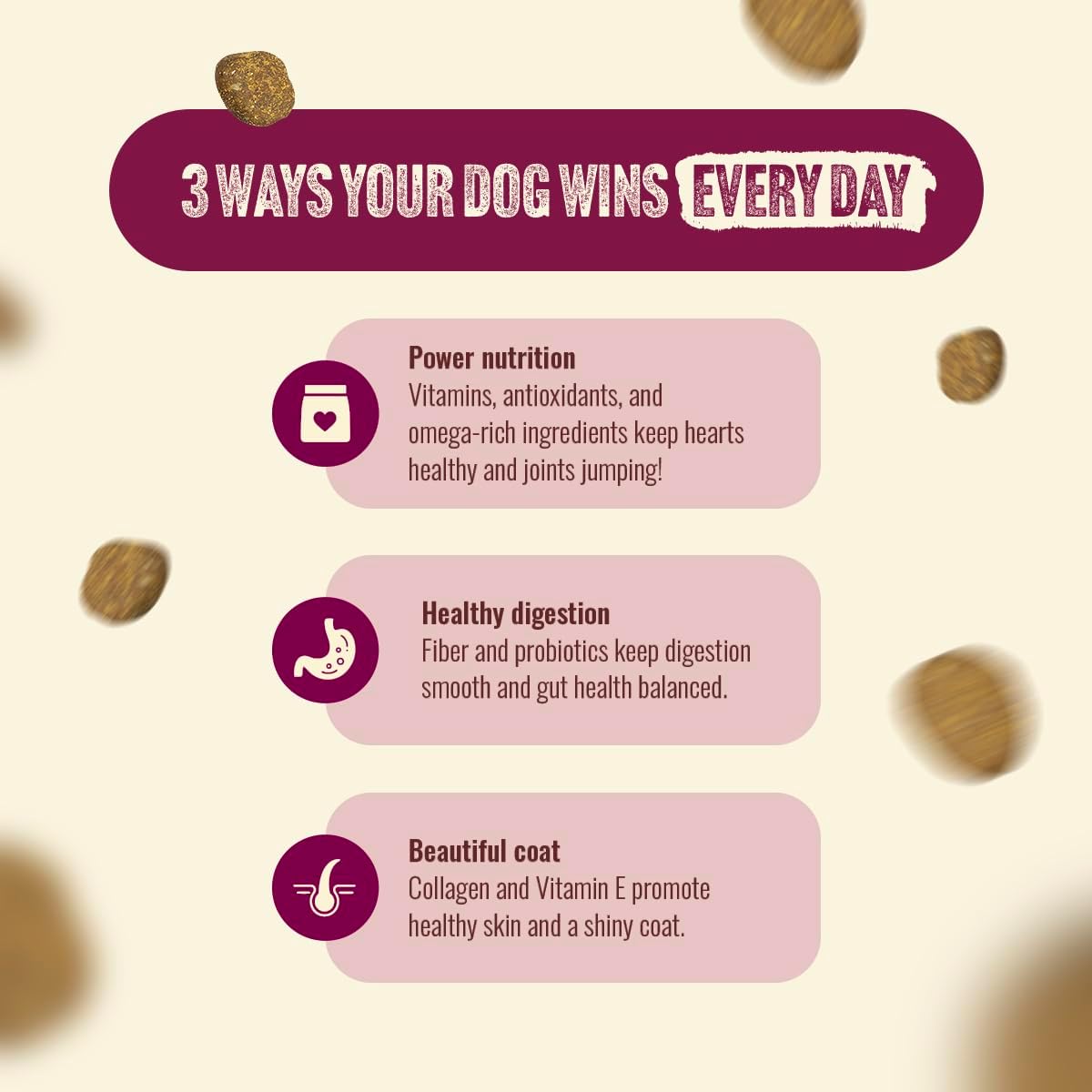 Natural Farm High Protein Dry Dog Food for All Life Stages with Collagen, Every Bag Contains 70% Beef & Pork and 30% Ancient Super Food Grains, Complete and Balanced Nutrition, 22.5 Lbs. Bag - Image 6