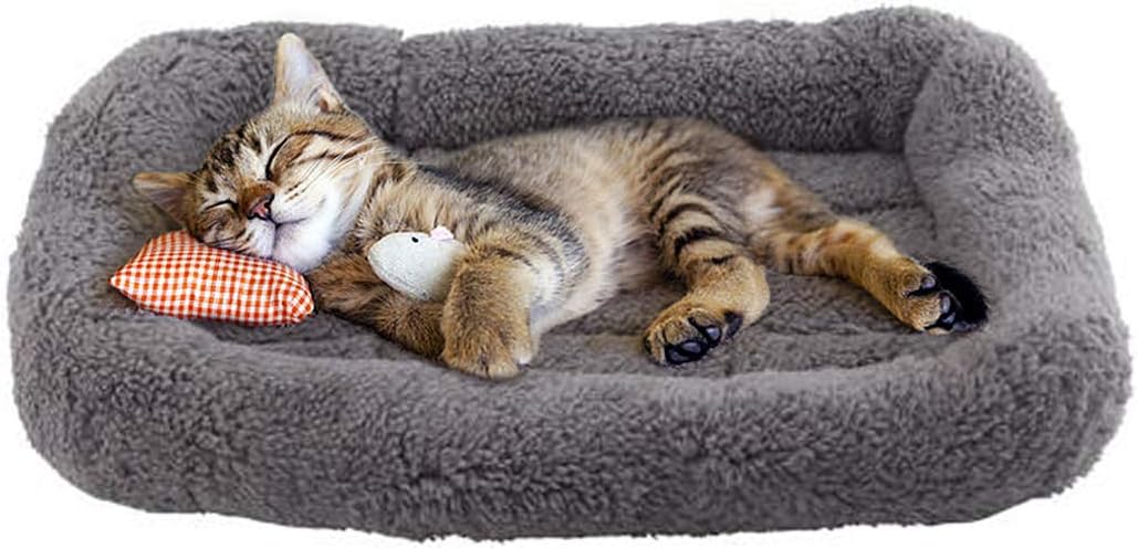 Enjoying Cat Mat Bed 10" x 15" Pet Bed with Pillow Around for Puppy Kitten Curled Sleeping Beds for Carrier/Crate Small Dog Cushion, Anti Skid Bottom, Small - Image 3