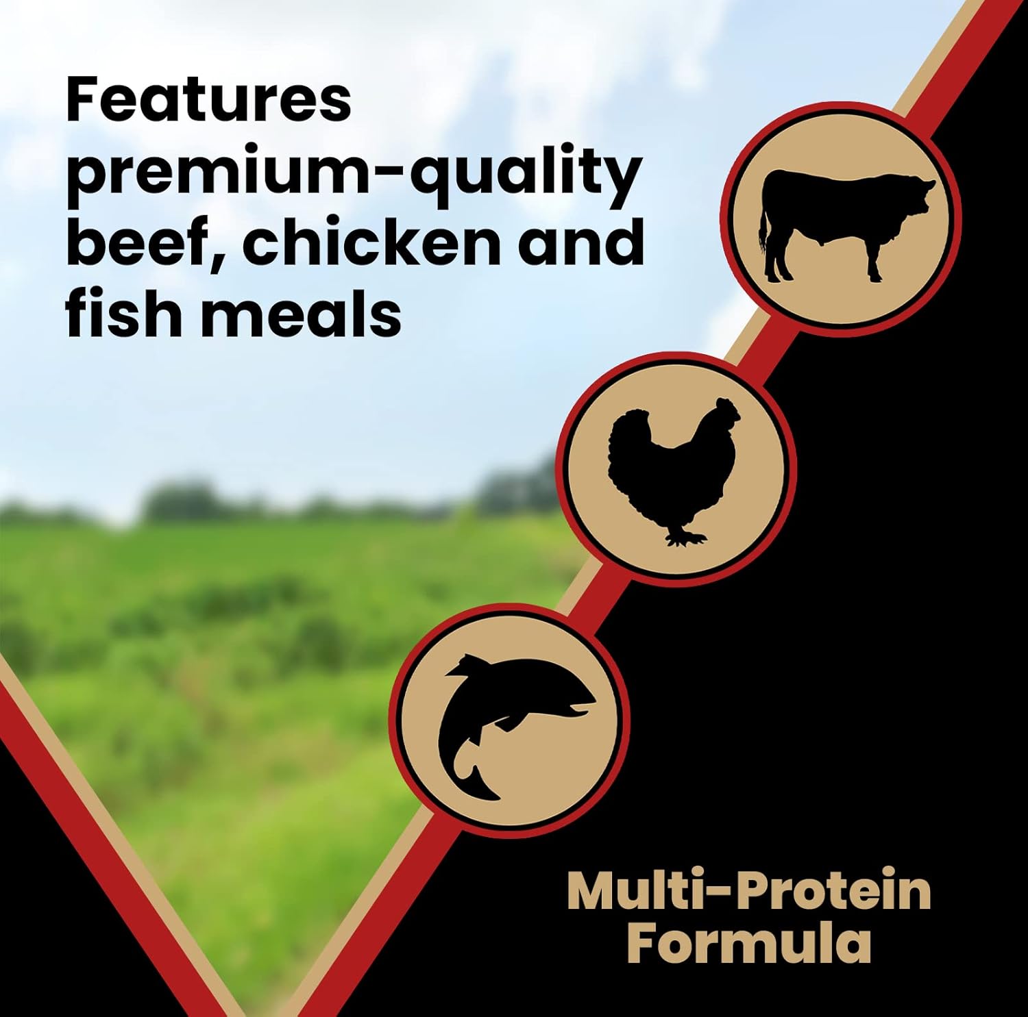 VICTOR Super Premium Dog Food – Purpose Nutra Pro – Gluten-Free, High Protein Low Carb Dry Kibble for Active Dogs of All Ages – Ideal for Sporting, Pregnant or Nursing Dogs & Puppies, 5lbs - Image 5