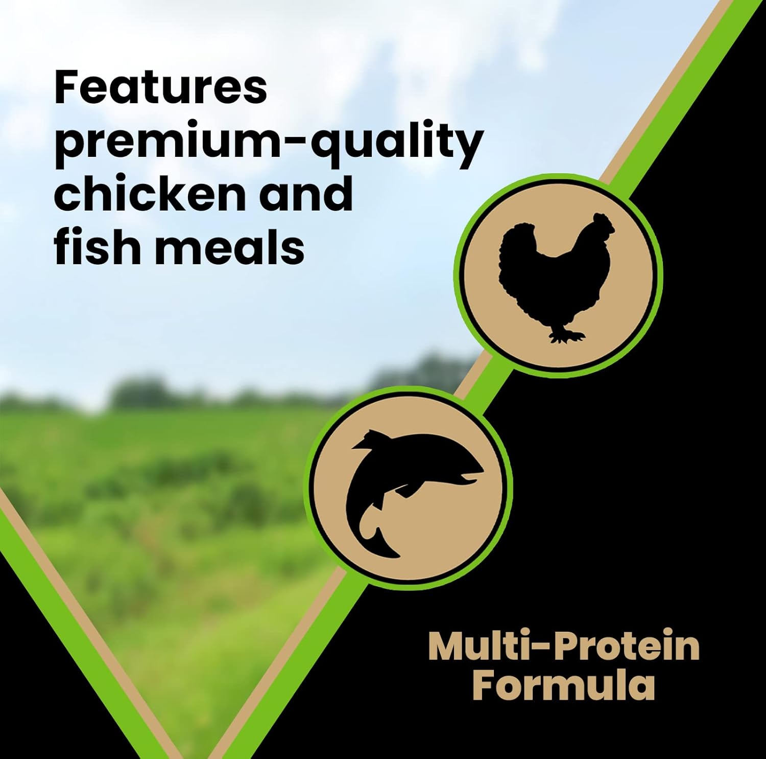 VICTOR Super Premium Dog Food – Elite Canine Dry Dog Food with Chicken & Fish Meal – 25% Protein, 14% Fat, Gluten Free – for Large Breed Dogs & Puppies, 15lbs - Image 5