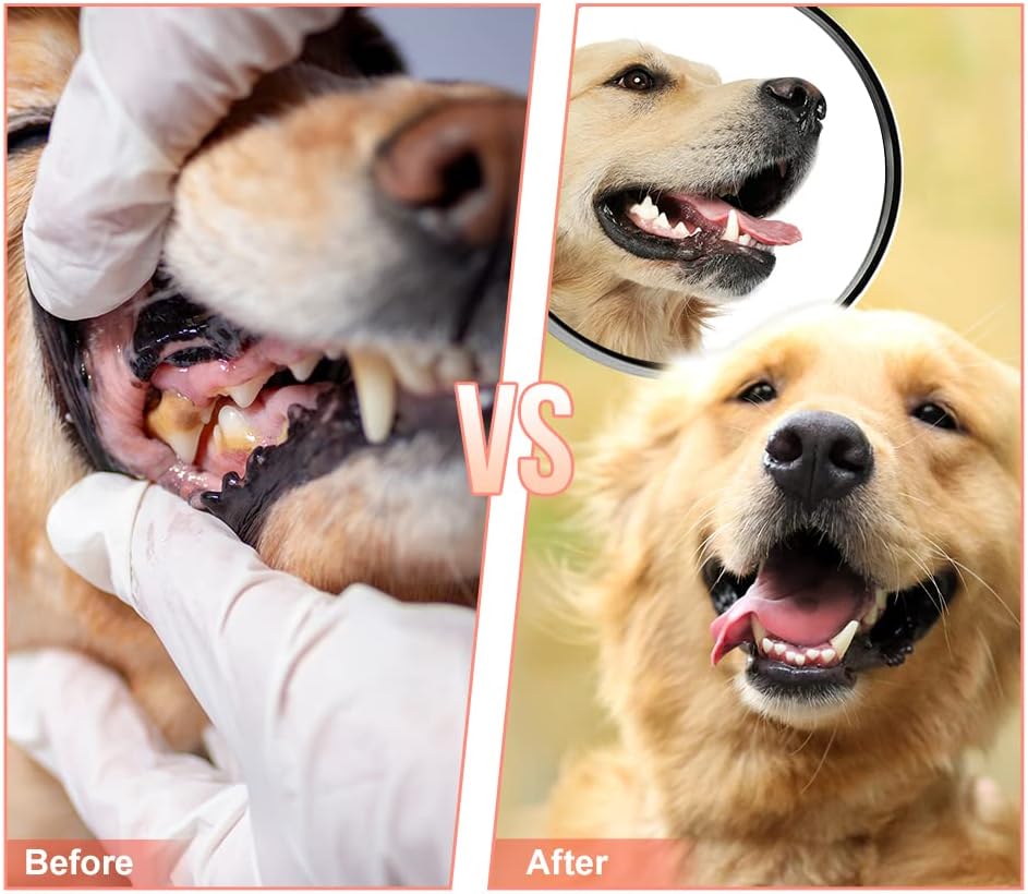 Dog Chew Toys,Tough Dog Toys for Aggressive Chewers,Durable Rubber Puppy Toy, Interactive Puppy Toys Aggressive Chewers Medium Large Breed - Image 5