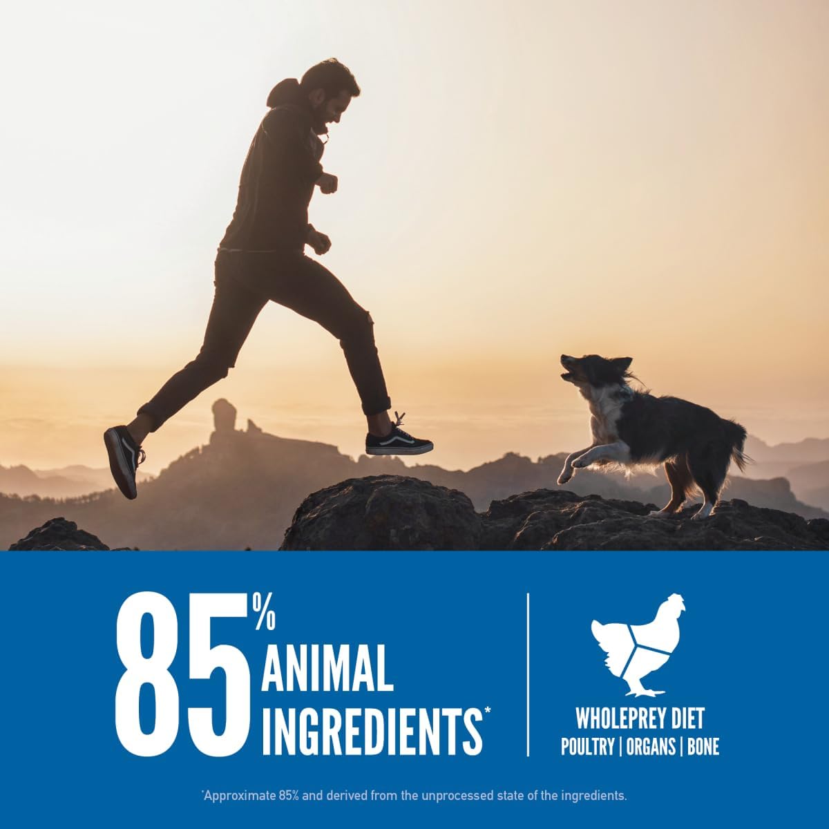 ORIJEN Grain Free High Protein Dry Dog Food Original Recipe 4.5lb Bag - Image 4