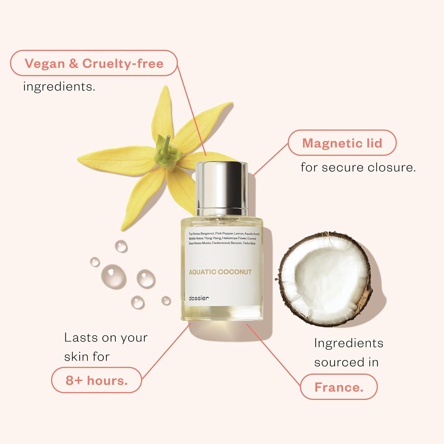 Dossier - Aquatic Coconut - Eau de Parfum - Inspired by Beach Walk - Long-lasting Fragrance - Vegan - Paraben Free - Unisex - 50ml / 1.7oz - Image 6