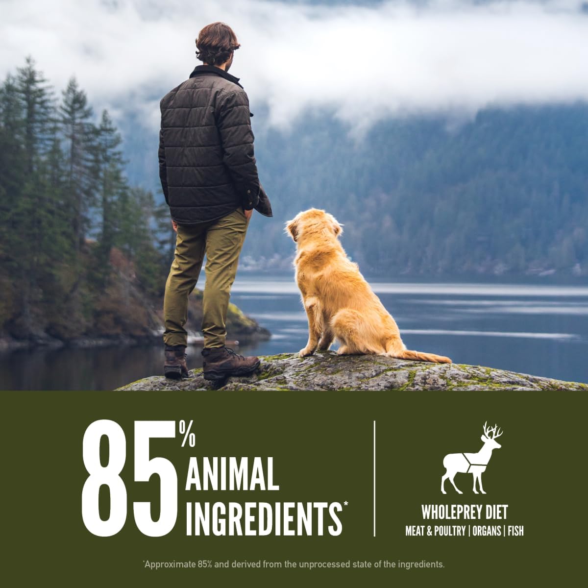 ORIJEN Grain Free Poultry Free High Protein Dry Dog Food Tundra Recipe 23.5lb Bag - Image 4