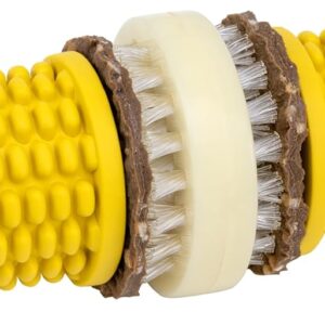 PetSafe Busy Buddy Cravin Corncob Dog Toys Treat Ring Holding Chew Toy BPA Free Rubber Butter Scented Interactive Pet Puzzle for Boredom or Separation Anxiety Small to Large Dogs