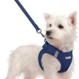 rabbitgoo Dog Harness Small Sized and Leash Set, Step in Soft Light Puppy Vest, Breathable Mesh Pet Harness, Reflective for Safe Outdoor Walking, Navy Blue S