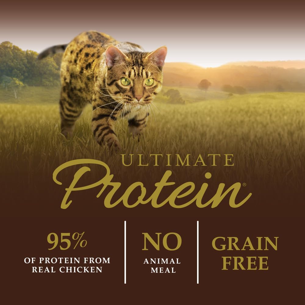 Instinct Ultimate Protein, Natural Dry Cat Food, Grain Free Recipe - Cage Free Chicken, 4 lb. Bag - Image 3
