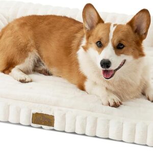 COZY KISS Cute Dog Bed for Medium Dogs, Faux Rabbit Fur Orthopedic Foam Dog Bed with Sides, Removable Washable Cover & Waterproof Lining, Comfortable Pet Couch, Cream (36″ L x 27″ W x 6.5″ Th)