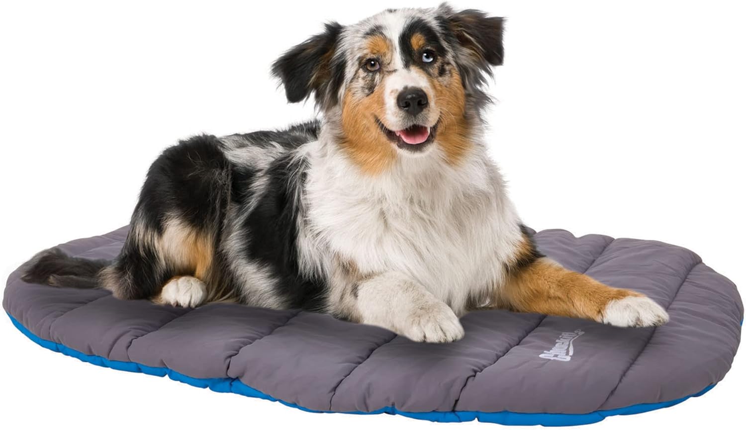 Chuckit! Outdoor Travel Portable Water Resistant Travel Pillow Dog Bed For Medium to Large Dogs 20 to 100 lbs, 39"L x 30"W, Blue - Image 6