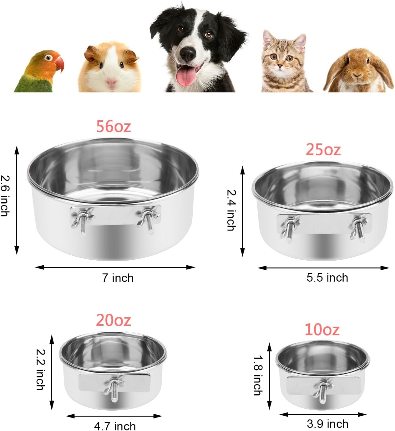 Wontee Pet Food Water Bowl with Clamp Holder Stainless Steel Feeding Cups Feeder for Dog Bird Parrot Cat Rabbit, 2 Packs (M) - Image 5