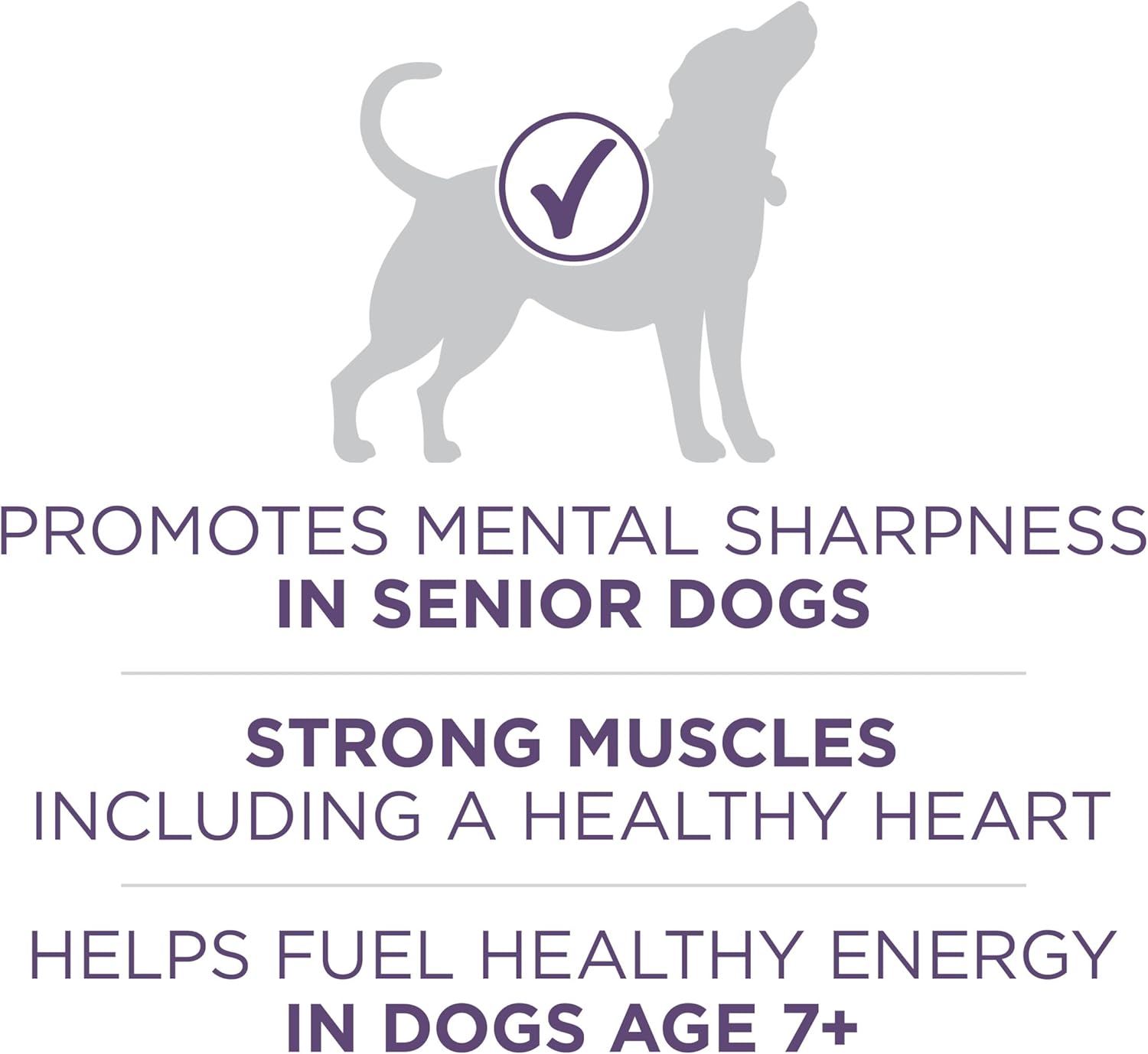 Purina ONE High Protein Dry Senior Dog Food Plus Vibrant Maturity Adult 7 Plus Formula - 8 lb. Bag - Image 4