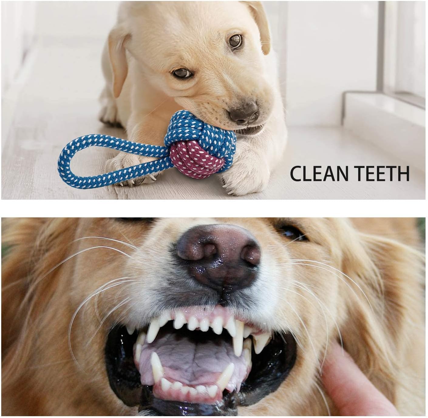 Toozey 7 Pack Small Dog Toys, Puppy Teething Toys, Durable Ropes Chew Toys, Cute Calf Squeaky Dog Toys, Non-Toxic and Safe - Image 6