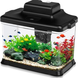 DaToo Small Fish Tank Ultra-Clear 1.6 Gallon Aquarium Starter Kits with LED Lighting and Filter System Beginner-Friendly Mini Betta Aquarium for Small Fish Shrimp Desktop Room Decoration