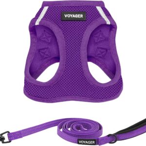 Best Pet Supplies Voyager Step-in Air All Weather Mesh Harness and Reflective Dog 5ft Leash Combo with Neoprene Handle, for Small, Medium and Large Breed Puppies – Set (Purple), Small