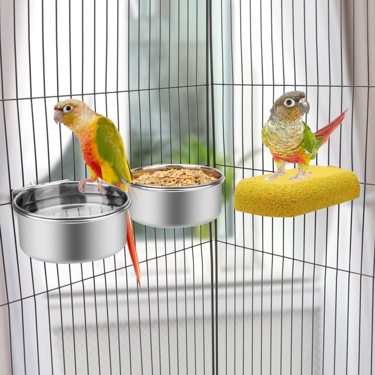 Wontee Pet Food Water Bowl with Clamp Holder Stainless Steel Feeding Cups Feeder for Dog Bird Parrot Cat Rabbit, 2 Packs (M) - Image 3