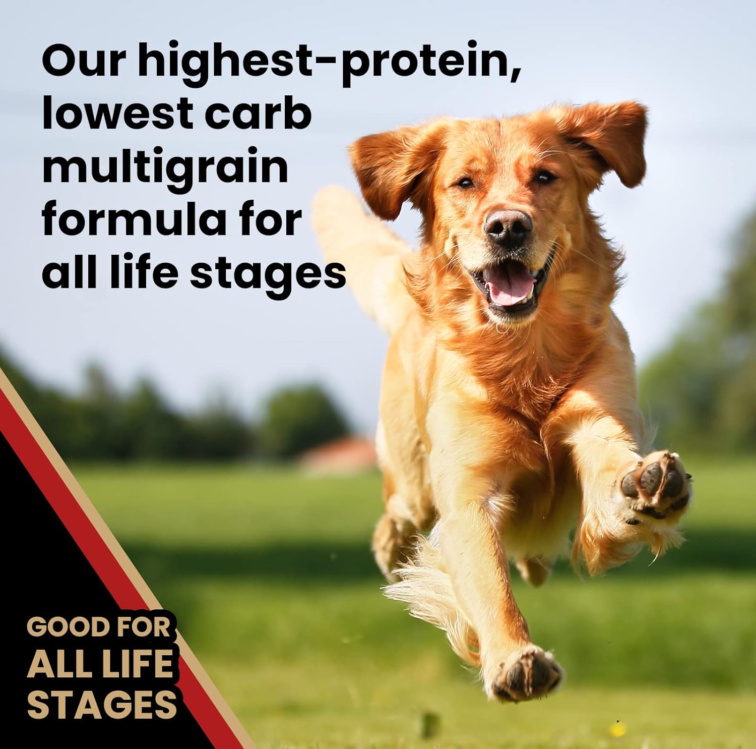 VICTOR Super Premium Dog Food – Purpose Nutra Pro – Gluten-Free, High Protein Low Carb Dry Kibble for Active Dogs of All Ages – Ideal for Sporting, Pregnant or Nursing Dogs & Puppies, 5lbs - Image 4