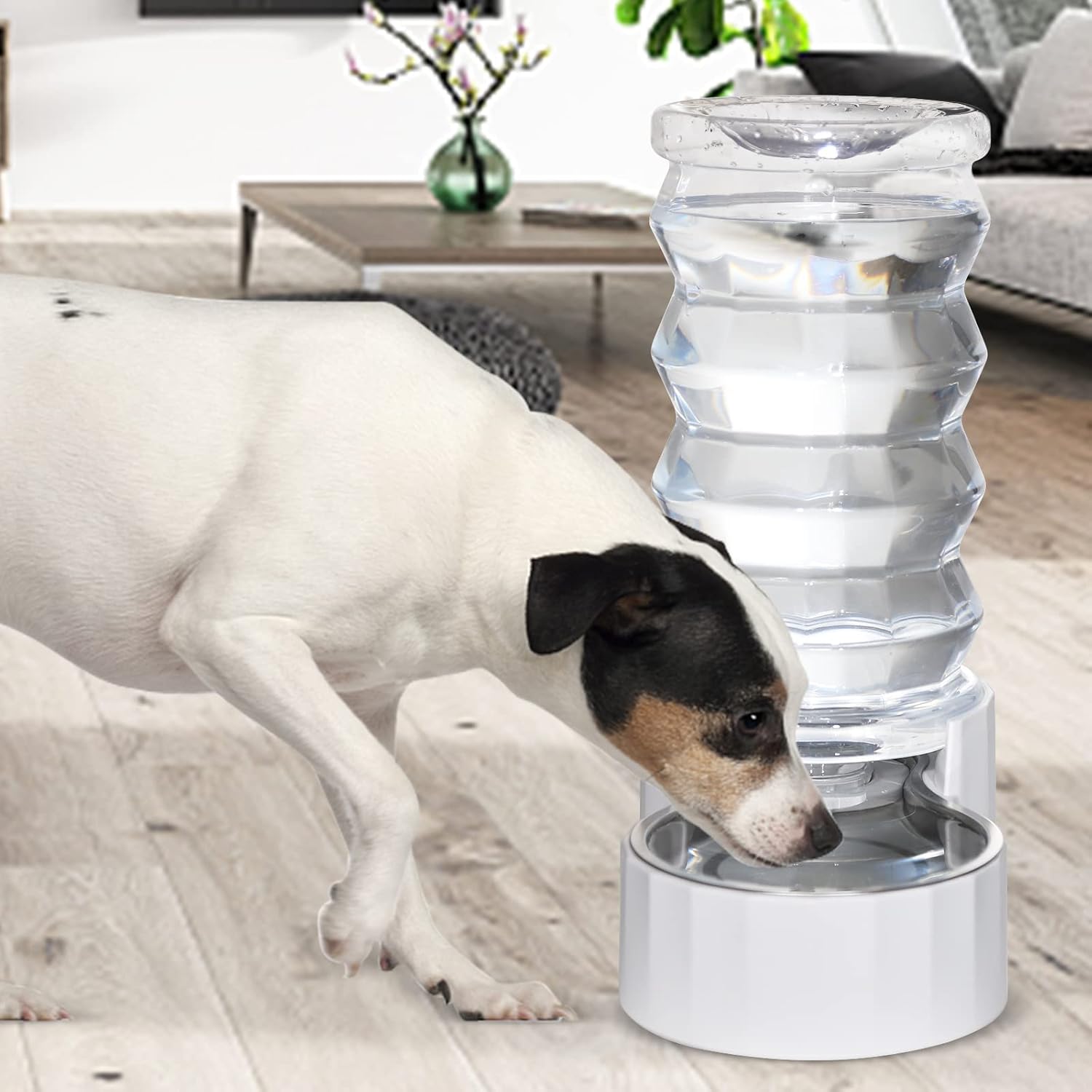 RIZZARI 8L Stainless Steel Gravity Pet Water Dispenser – Auto-Refill Waterer with Filtered Hydration Design for Dogs & Cats, Fresher Daily Drinking for Multi-Pet Homes & Indoor Spaces - Image 8