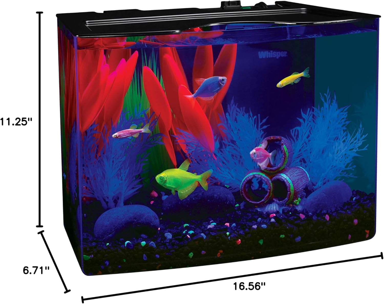 GloFish Crescent Aquarium Kit 5 Gallons, Includes Hidden Blue LED Light And Internal Filter - Image 8