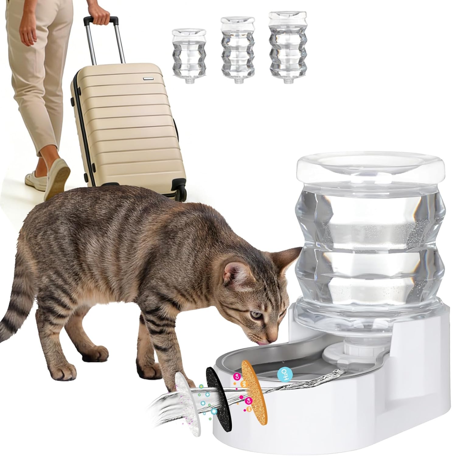 RIZZARI 4L Gravity Pet Water Dispenser with Stainless Steel Bowl – Activated Carbon & Ion Exchange Filter for Urinary Health, Automatic Flow, for Cats & Small Dogs in Apartments or Single-Pet Homes