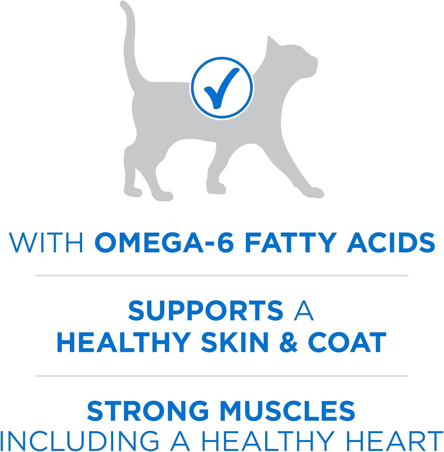 Purina ONE Plus High Protein Cat Food Dry Salmon and Ocean Whitefish Cat Skin and Coat Health Formula - 3.5 lb. Bag - Image 3