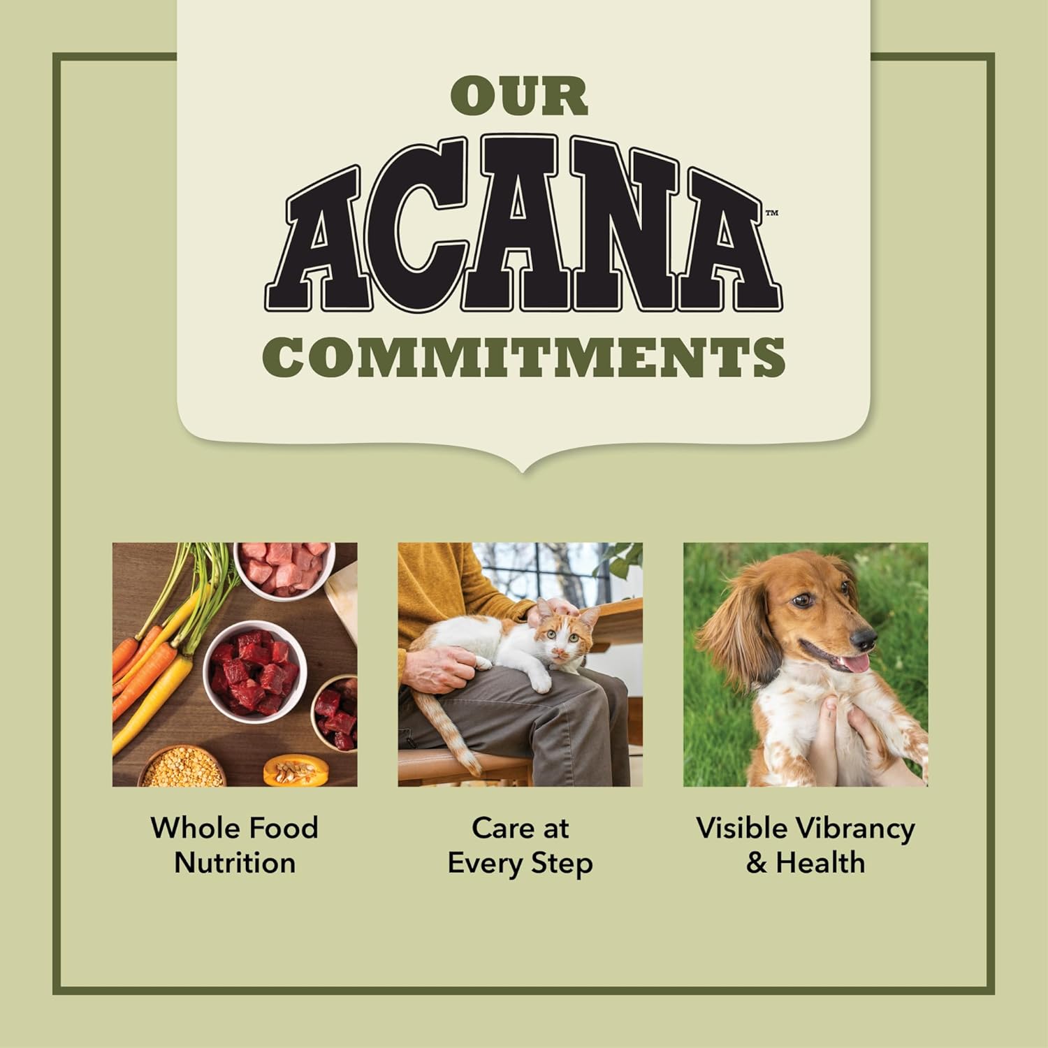 ACANA Grain-free Dry Cat Food Meadowlands Chicken Turkey Fish and Cage-Free Eggs 4lb Bag - Image 9