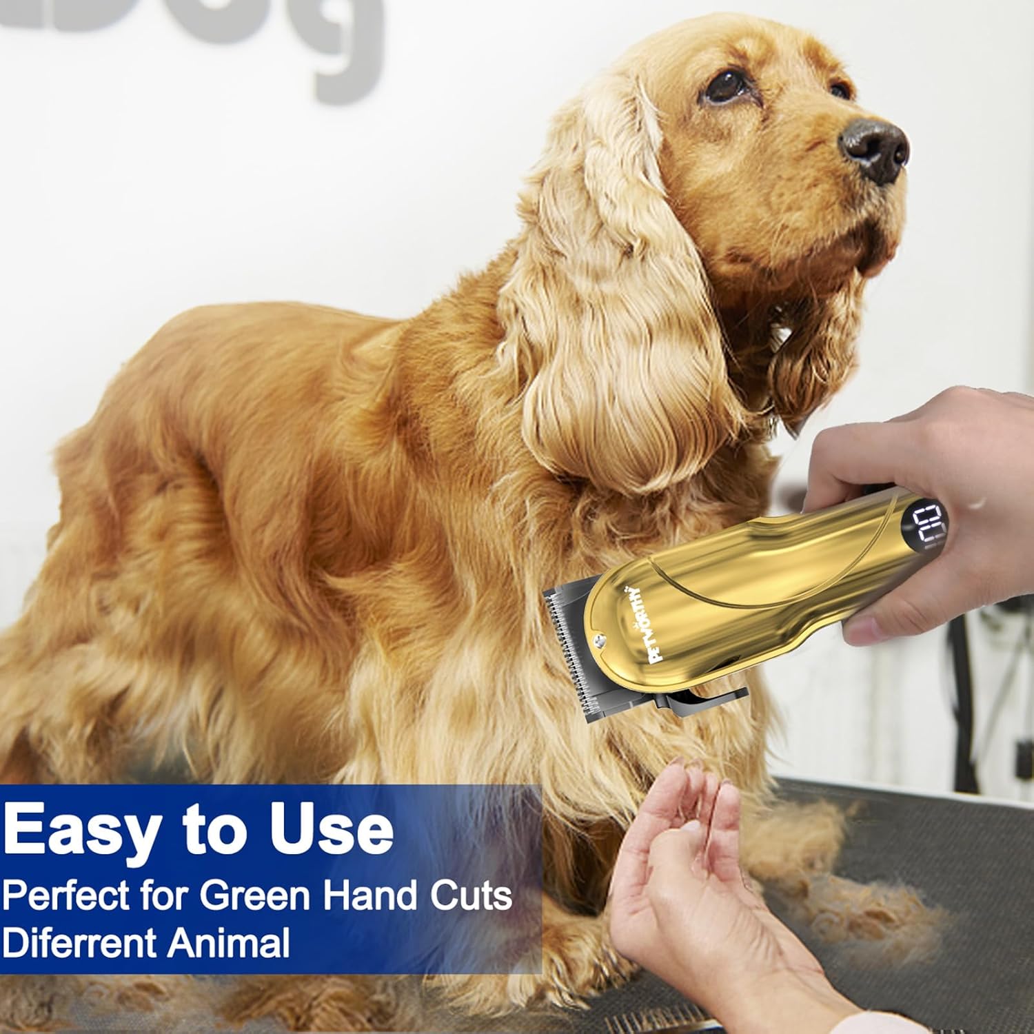 Quiet Dog Grooming Kit - 2000mAh Dog Clippers for Heavy Thick Hair Coats, Waterproof Rechargeable Cordless Clippers, Safe and Easy to Clean Pet Grooming - Image 6