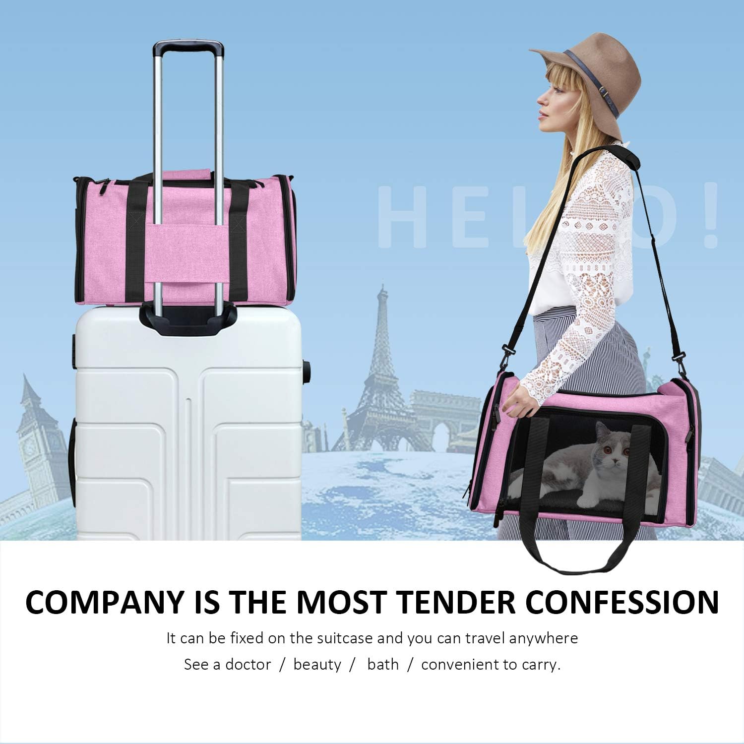 Henkelion Pet Carrier for Small Medium Cats Dogs Puppies up to 15 Lbs, TSA Airline Approved, Soft Sided, Collapsible Travel - Pink - Image 6