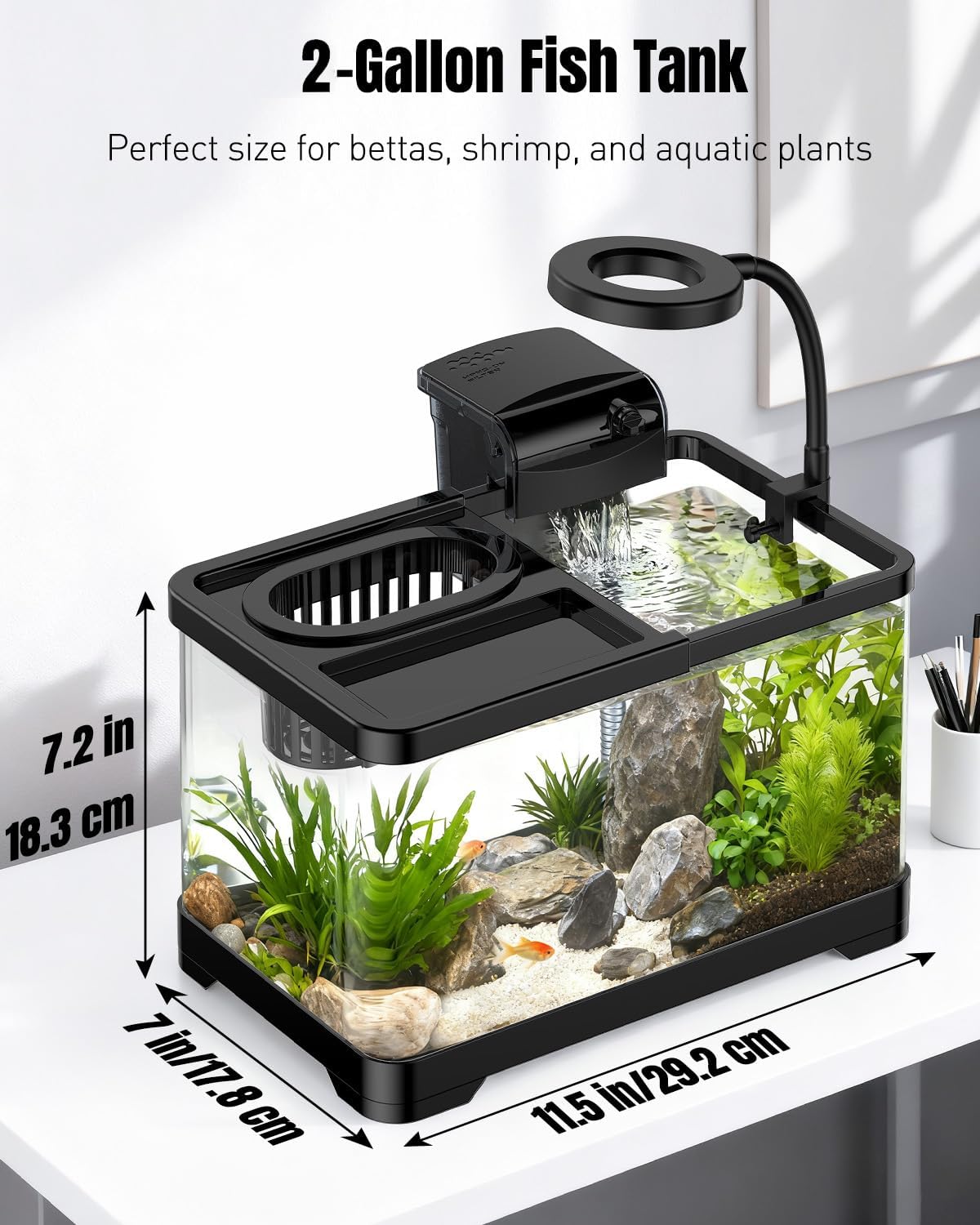 Pawfly 2 Gallon Fish Tank, Small Aquarium Kit, Betta Fish Tank Starter Kit with 6 W LED Light, 65 GPH Filter, Siphon Vacuum Water Changer & Basket, Aquarium for Betta, Shrim, or Small Fishes - Image 2