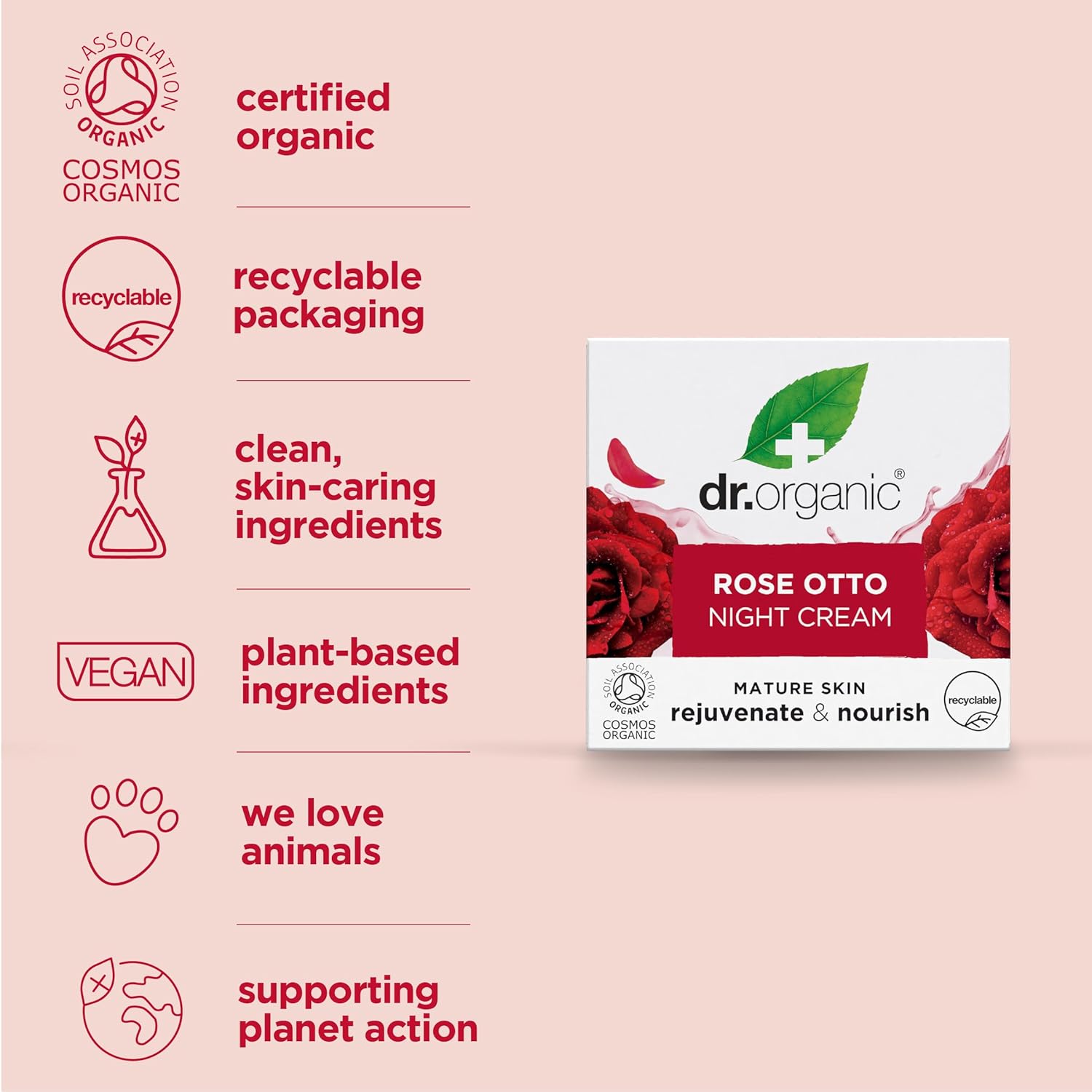 Dr. Organic Rose Otto Night Cream | Rejuvinating for Mature Skin, Aids in Healthy Aging, Promotes Youthful & Toned Skin, Natural, Certified Organic, Vegan, 50 mL / 1.7 fl oz - Image 4