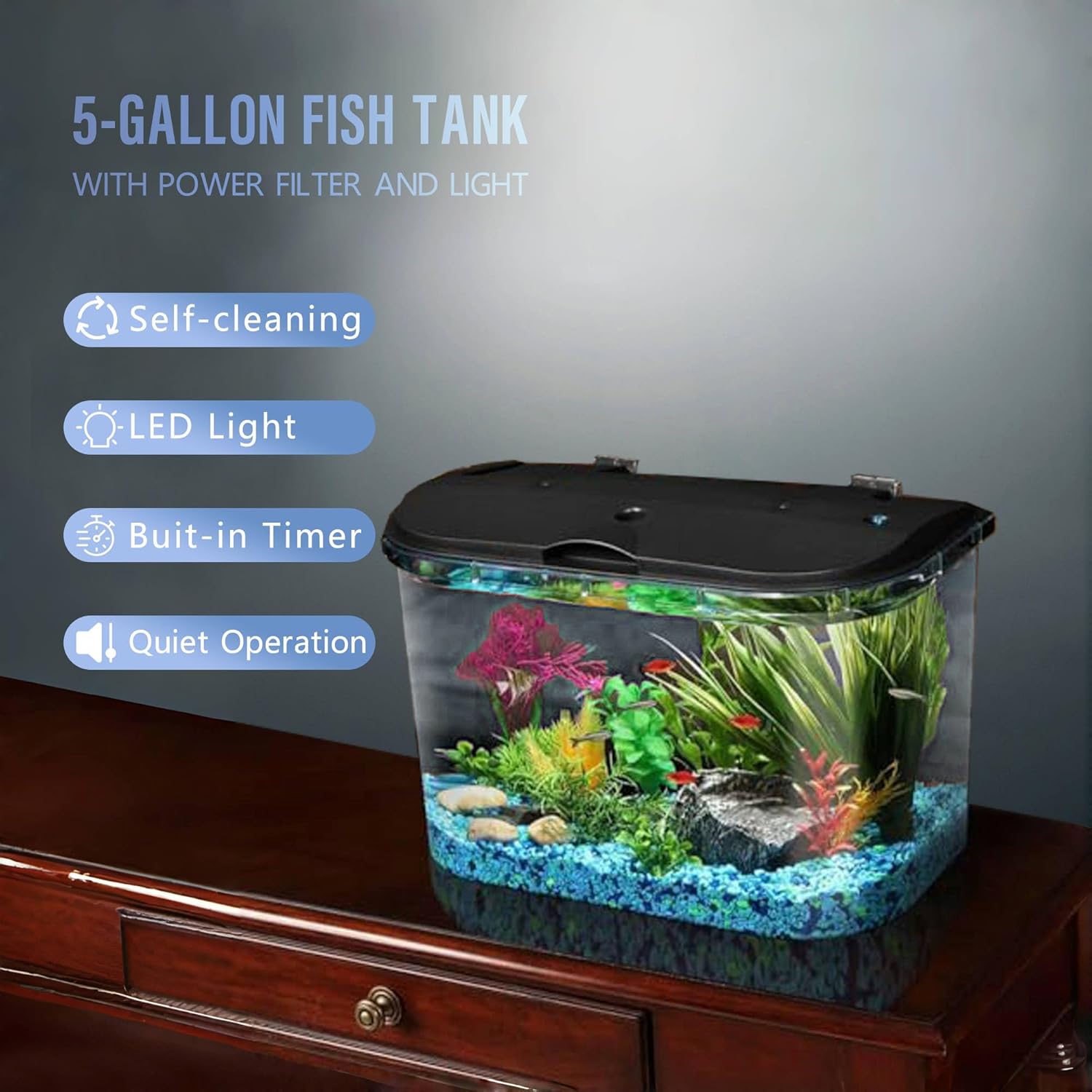 Koller Products 5-Gallon Aquarium Kit with LED Lighting and Power Filter, Ideal for a Variety of Tropical Fish - Image 2