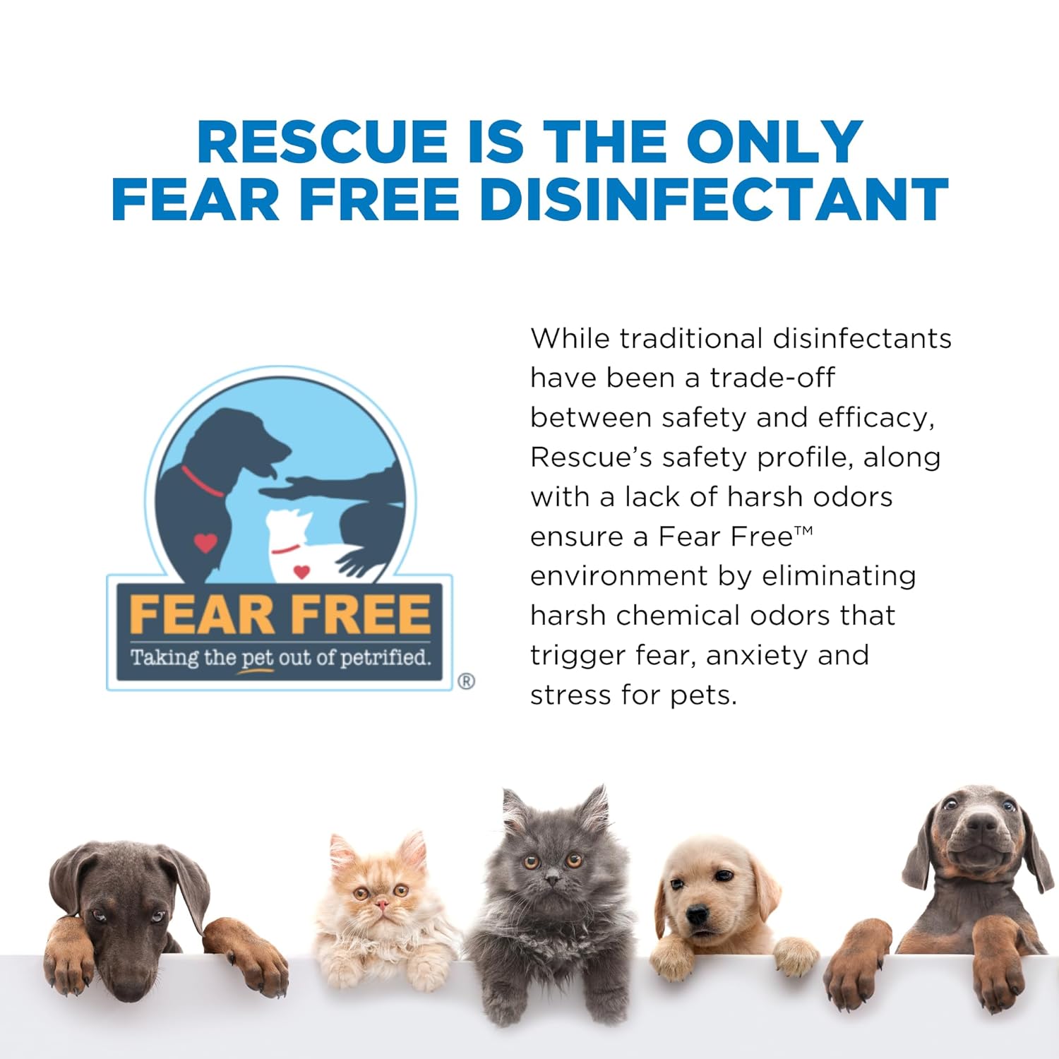 REScue One-Step Disinfectant Cleaner & Deodorizer Wipes for Vet Use – Cleaner for Kennels, Litter Boxes, Vet Offices, Pet Grooming Surfaces, Pet Items – Wipes Canister, 160-Count (Pack of 1) - Image 6