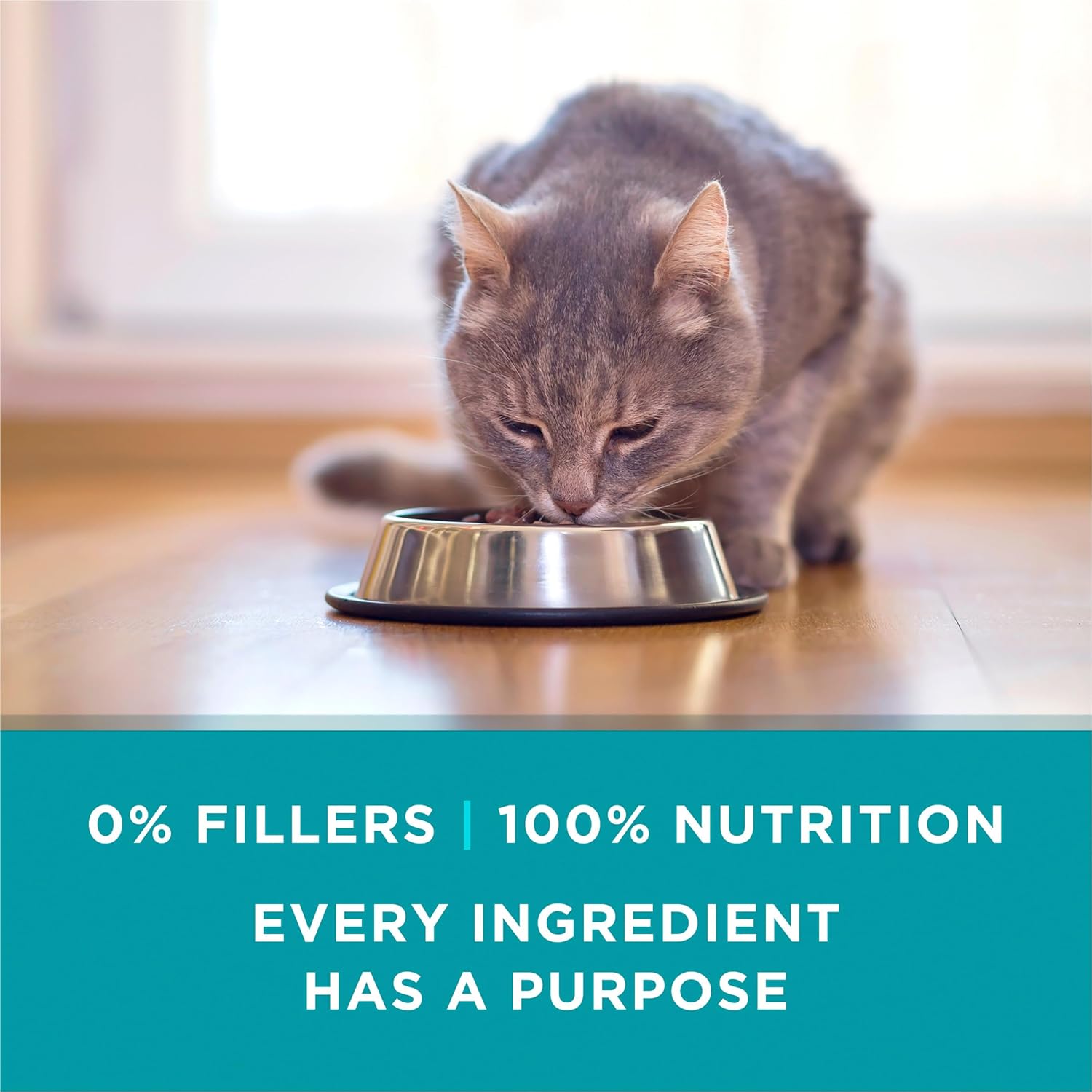 Purina ONE Natural, High Protein Cat Food Variety Pack, Chicken, Tuna, Salmon and Trout Recipes - (Pack of 24) 3 oz. Cans - Image 9