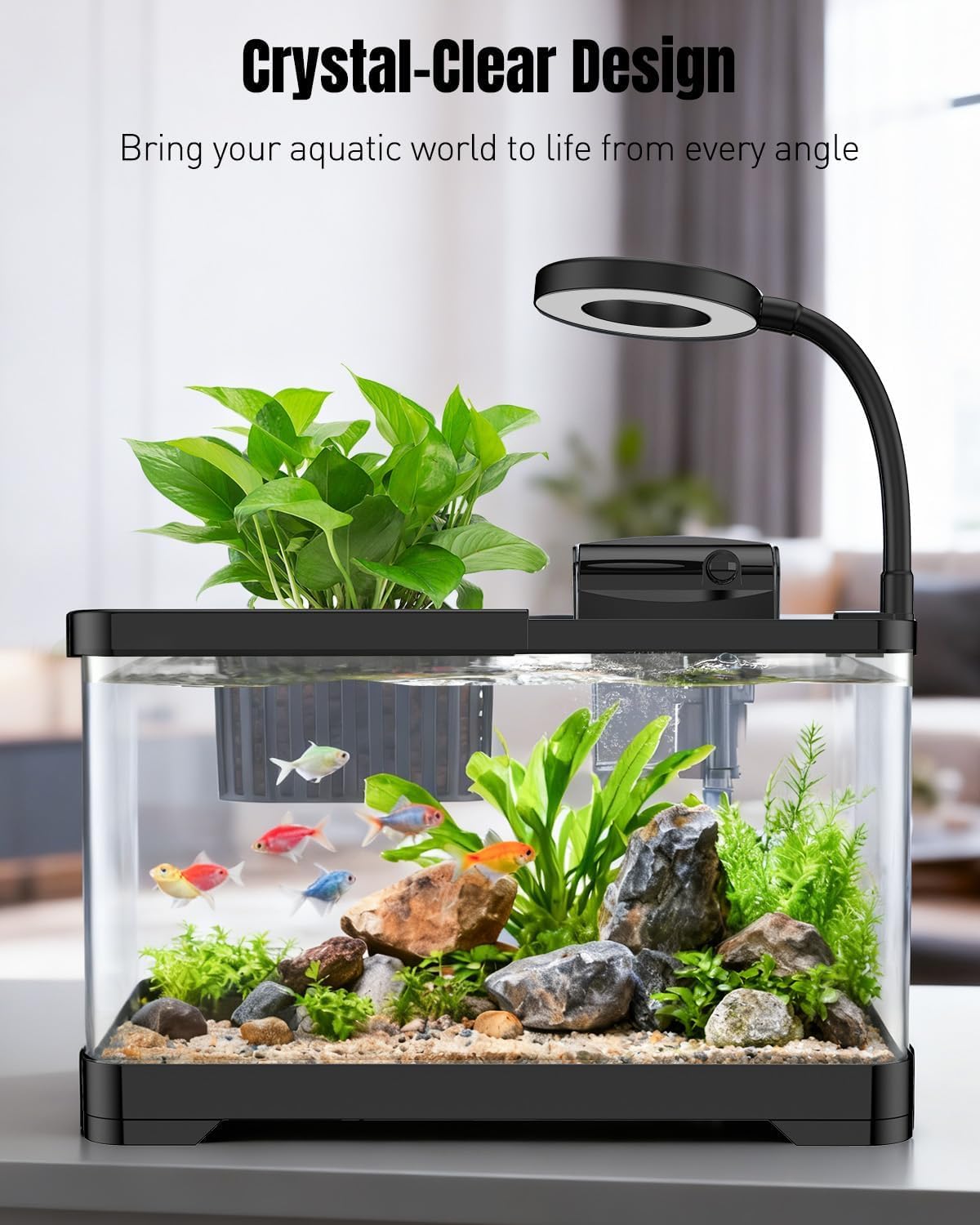 Pawfly 2 Gallon Fish Tank, Small Aquarium Kit, Betta Fish Tank Starter Kit with 6 W LED Light, 65 GPH Filter, Siphon Vacuum Water Changer & Basket, Aquarium for Betta, Shrim, or Small Fishes - Image 4
