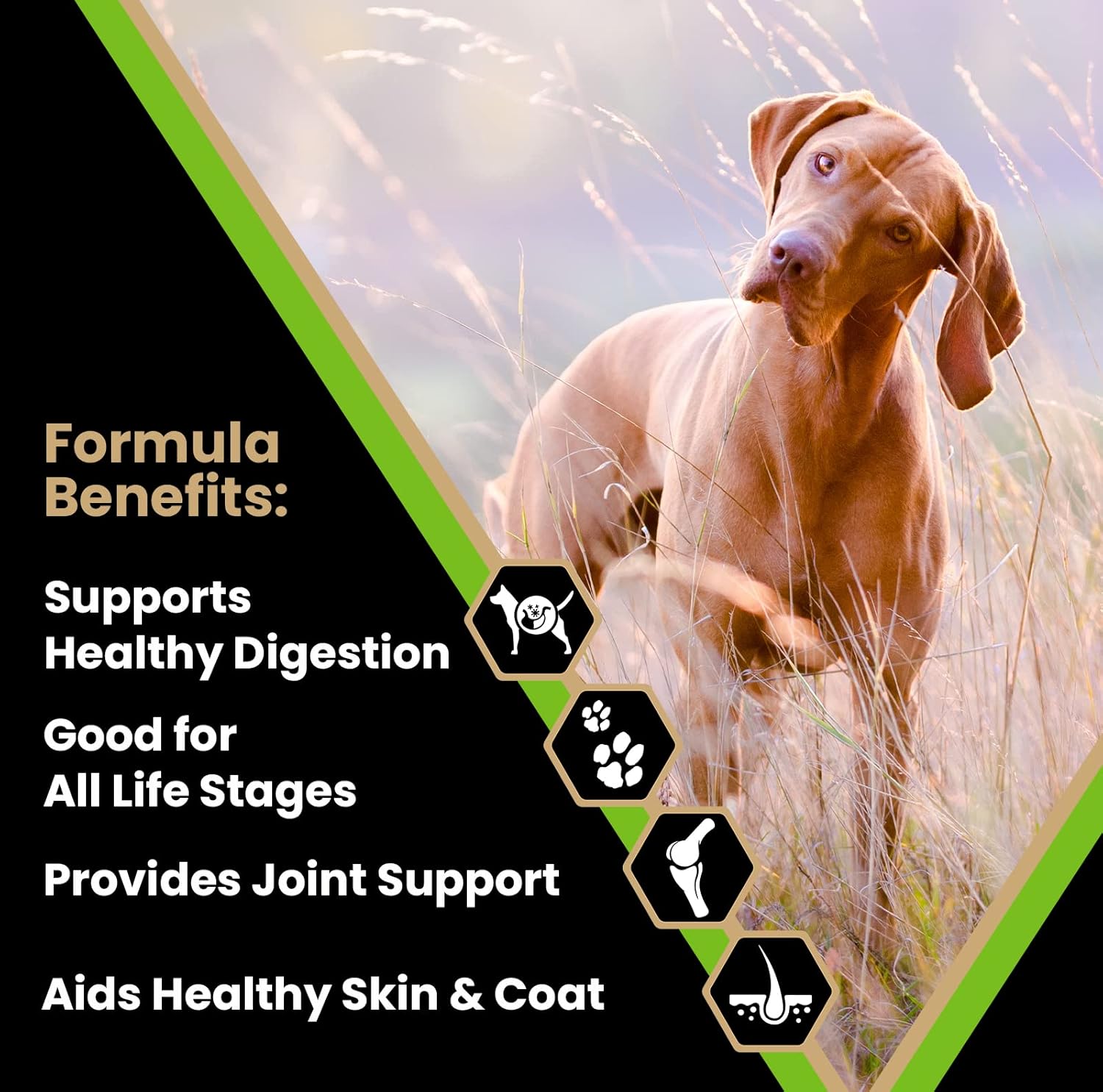 VICTOR Super Premium Dog Food – Elite Canine Dry Dog Food with Chicken & Fish Meal – 25% Protein, 14% Fat, Gluten Free – for Large Breed Dogs & Puppies, 15lbs - Image 2