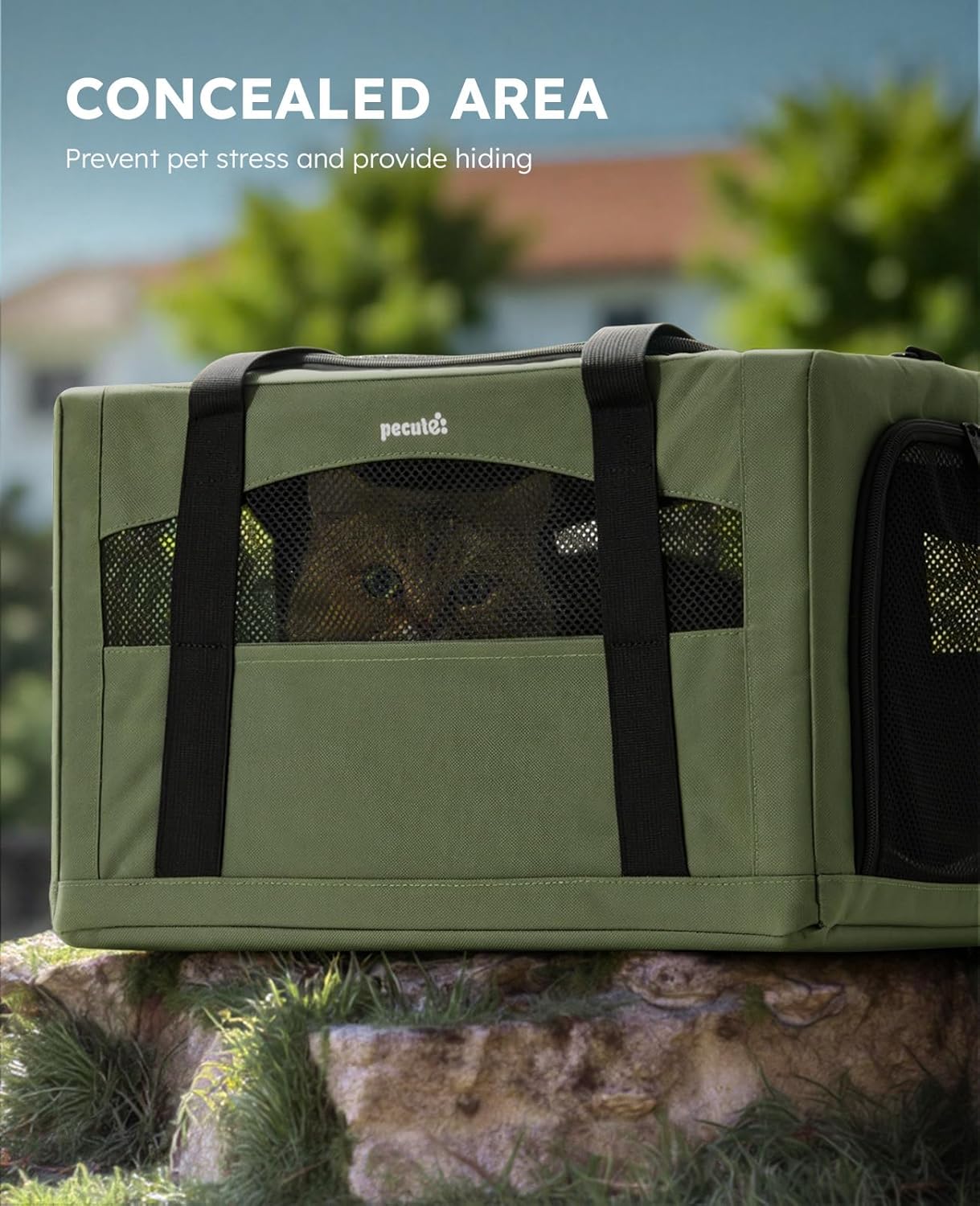 Pecute Cat Carrier Stable, Pet Carrier with Hidden Anxiety Relief Partition & Stable Steel Frame, Safe Cat Carrier for Car Travel, Soft-Sided Dog/Cat Carrier Bag for Pets Up to 11lbs, Green - Image 5