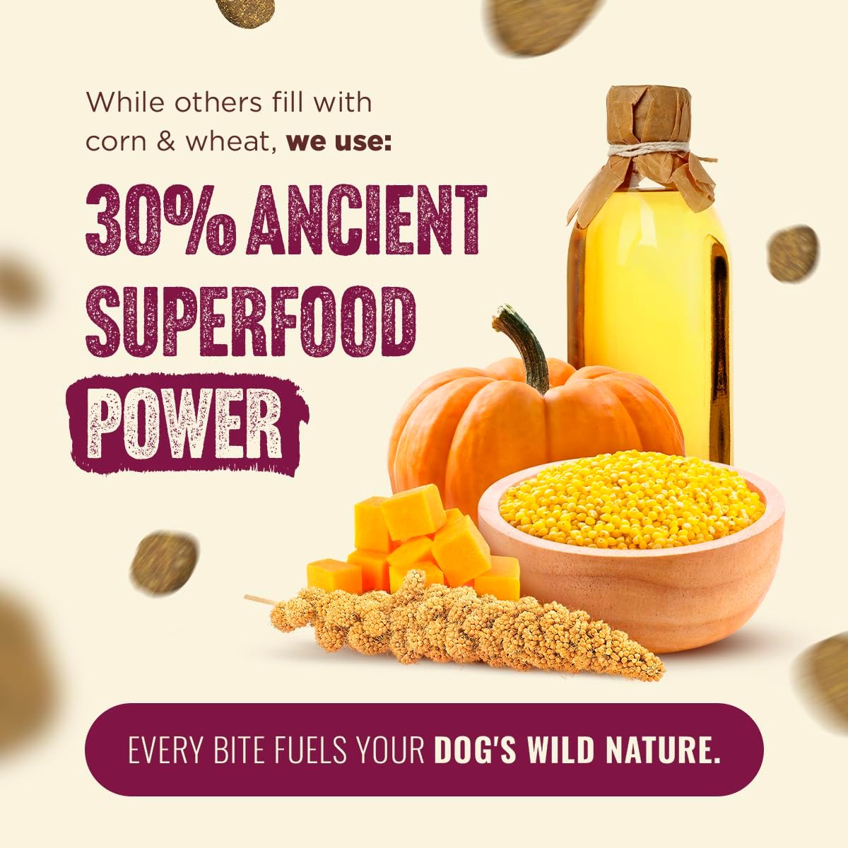 Natural Farm High Protein Dry Dog Food for All Life Stages with Collagen, Every Bag Contains 70% Beef & Pork and 30% Ancient Super Food Grains, Complete and Balanced Nutrition, 22.5 Lbs. Bag - Image 3