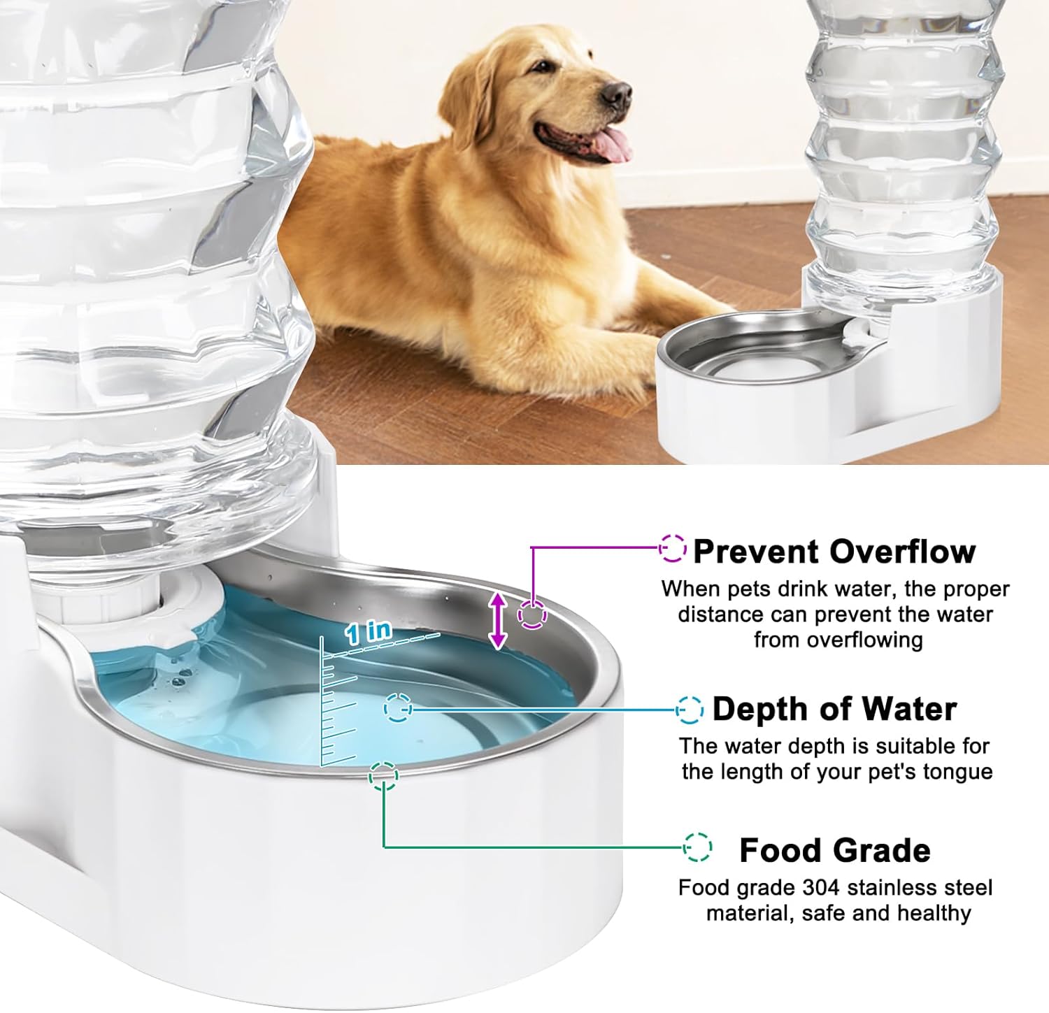 RIZZARI 8L Stainless Steel Gravity Pet Water Dispenser – Auto-Refill Waterer with Filtered Hydration Design for Dogs & Cats, Fresher Daily Drinking for Multi-Pet Homes & Indoor Spaces - Image 5