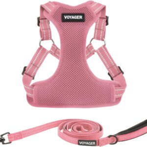 Best Pet Supplies Voyager Adjustable Step-in Flex Breathable Mesh Dog Harness for Small Medium Large Dogs Leash Set (Pink), S